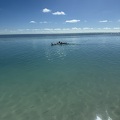 IMG_2571.jpeg